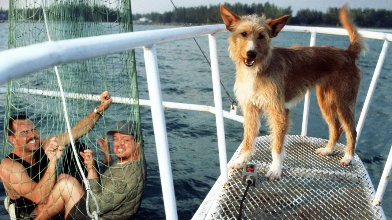 Фильм Зевс и Роксана (1997)