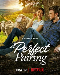 Фильм Идеальное сочетание (2022)