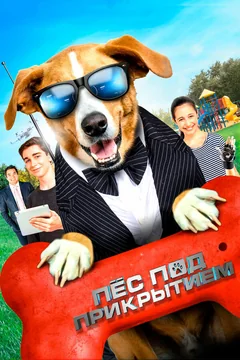 Фильм Пес под прикрытием (2019)