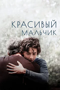 Фильм Красивый мальчик (2018)