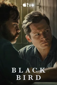 Сериал Чёрная птица (1 сезон)