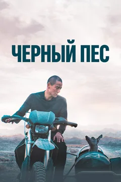 Фильм Чёрный пёс (2024)