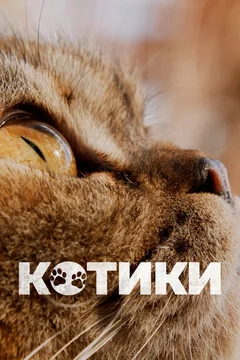 Фильм Котики (2022)