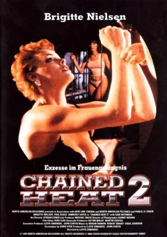 Фильм Женщины за решеткой 2 (1993)