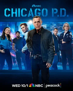 Сериал Полиция Чикаго (1-13 сезон)