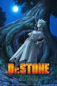 Аниме сериал Доктор Стоун (1-4 сезон)