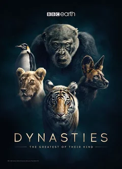 Сериал Династии (1 сезон)