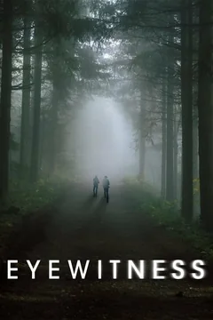 Сериал Свидетели (1 сезон)