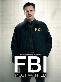 Сериал ФБР: Самые разыскиваемые преступники (1-6 сезон)