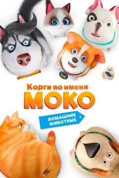 Мультсериал Корги по имени Моко. Домашние животные (1-2 сезон)