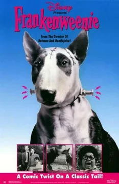 Фильм Франкенвини (1984)