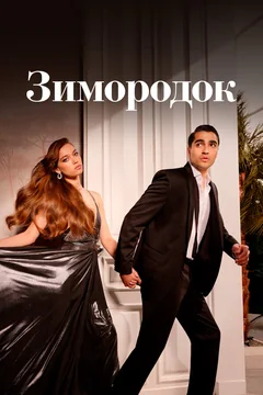 Сериал Зимородок (1-3 сезон)
