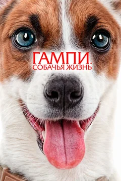 Фильм Гампи. Собачья жизнь (2024)