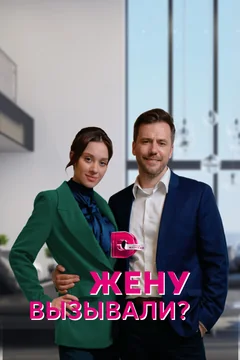 Сериал Жену вызывали? (1 сезон)