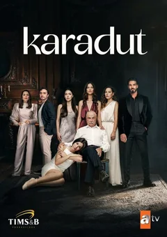 Сериал Чёрная шелковица (1 сезон)