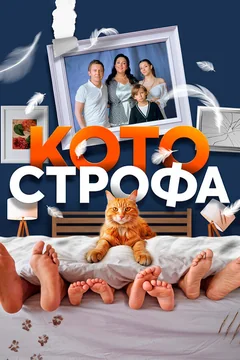 Сериал Котострофа (1 сезон)
