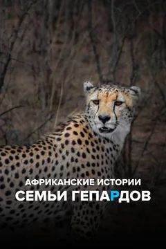 Сериал Африканские истории семьи гепардов (1 сезон)