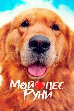 Фильм Мой пёс Руни (2023)