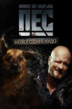 Сериал Пёс. Новогоднее чудо (1 сезон)