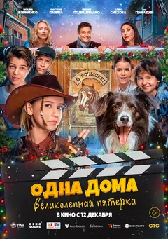 Фильм Одна дома: Великолепная пятерка (2024)
