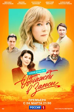 Сериал Однажды в Залесье (1 сезон)