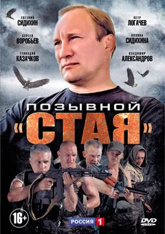 Сериал Позывной «Стая» (1 сезон)