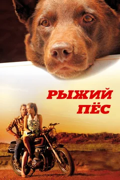 Фильм Рыжий пес (2011)