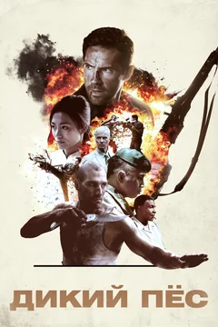 Фильм Дикий пёс (2017)