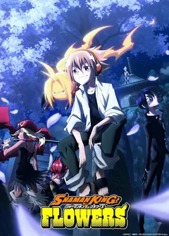 Аниме сериал Король шаманов (1-2 сезон)