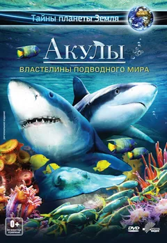 Фильм Акулы 3D: Властелины подводного мира (2013)