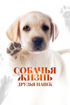 Фильм Собачья жизнь: Друзья навек (2023)