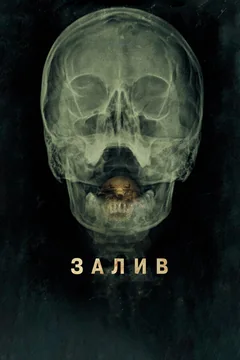 Фильм Залив (2012)