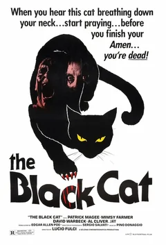Фильм Чёрный кот (1981)