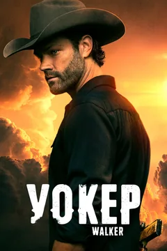 Сериал Уокер (1-4 сезон)