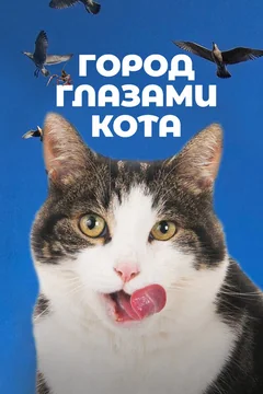 Фильм Город глазами кота (2018)