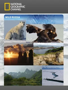 Сериал Дикая природа России (1 сезон)