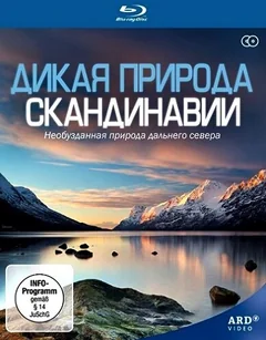 Сериал Дикая природа Скандинавии (1 сезон)