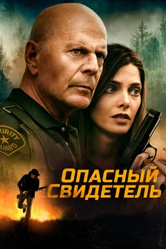 Фильм Опасный свидетель (2022)